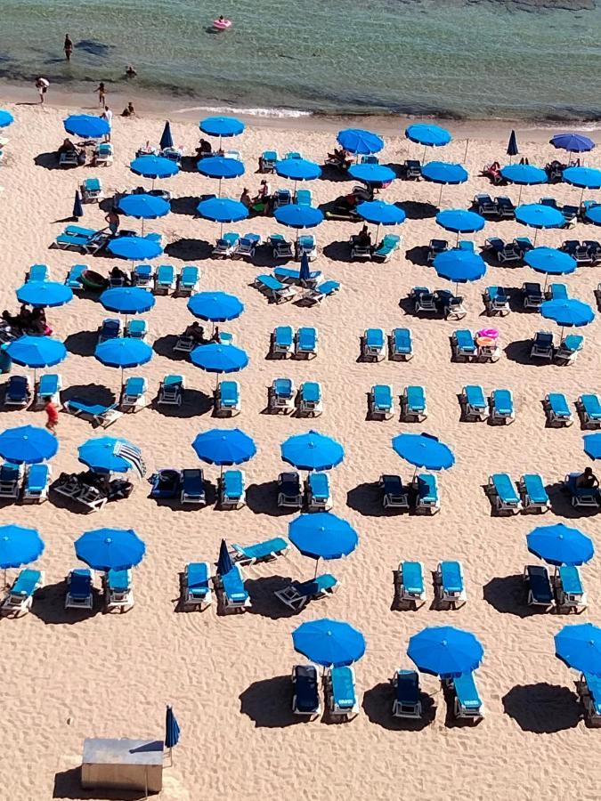 Dreamveracruz Playa 베니돔 외부 사진